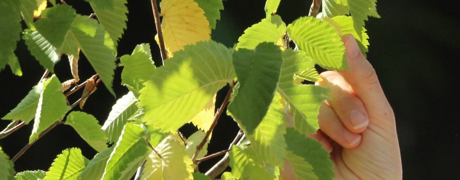 À propos 4 À propos